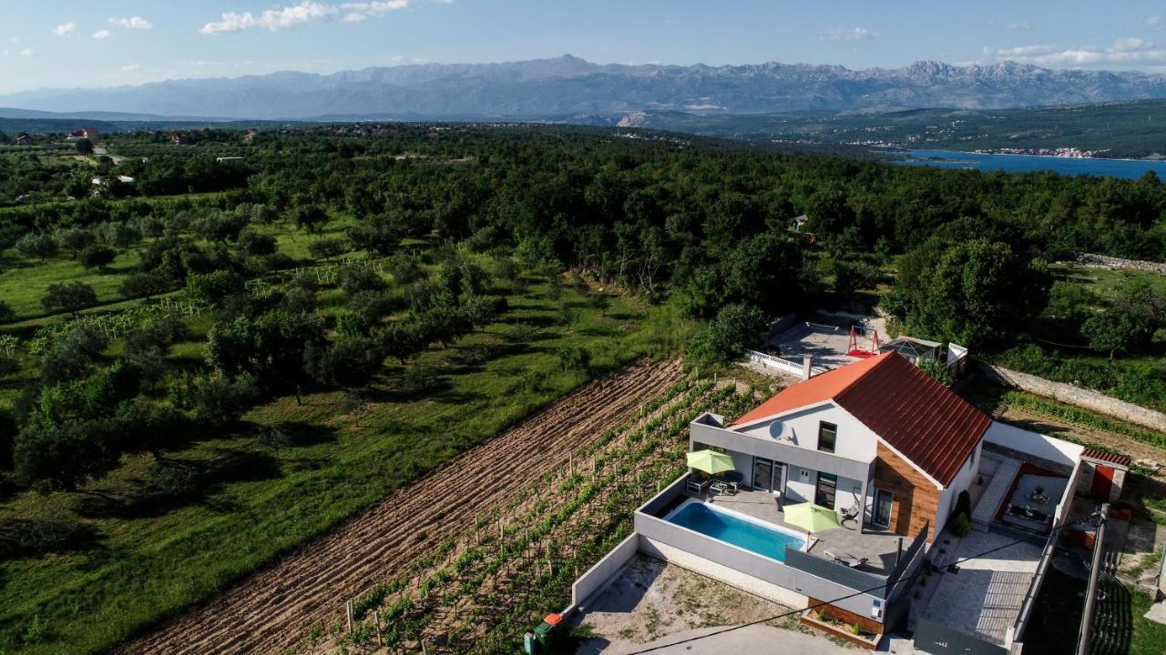 Luxurious Villa Natali Pridraga Exteriör bild